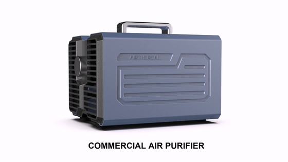 Schneller Reinigungs-Ozon-Generator-Luftreiniger Professinal 227x172x176 Millimeter
