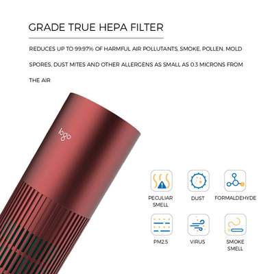 Filter-Hauptluftreiniger-Noten-Steuerart Stromversorgung H13 HEPA C USB